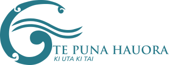 Te Puna Hauora