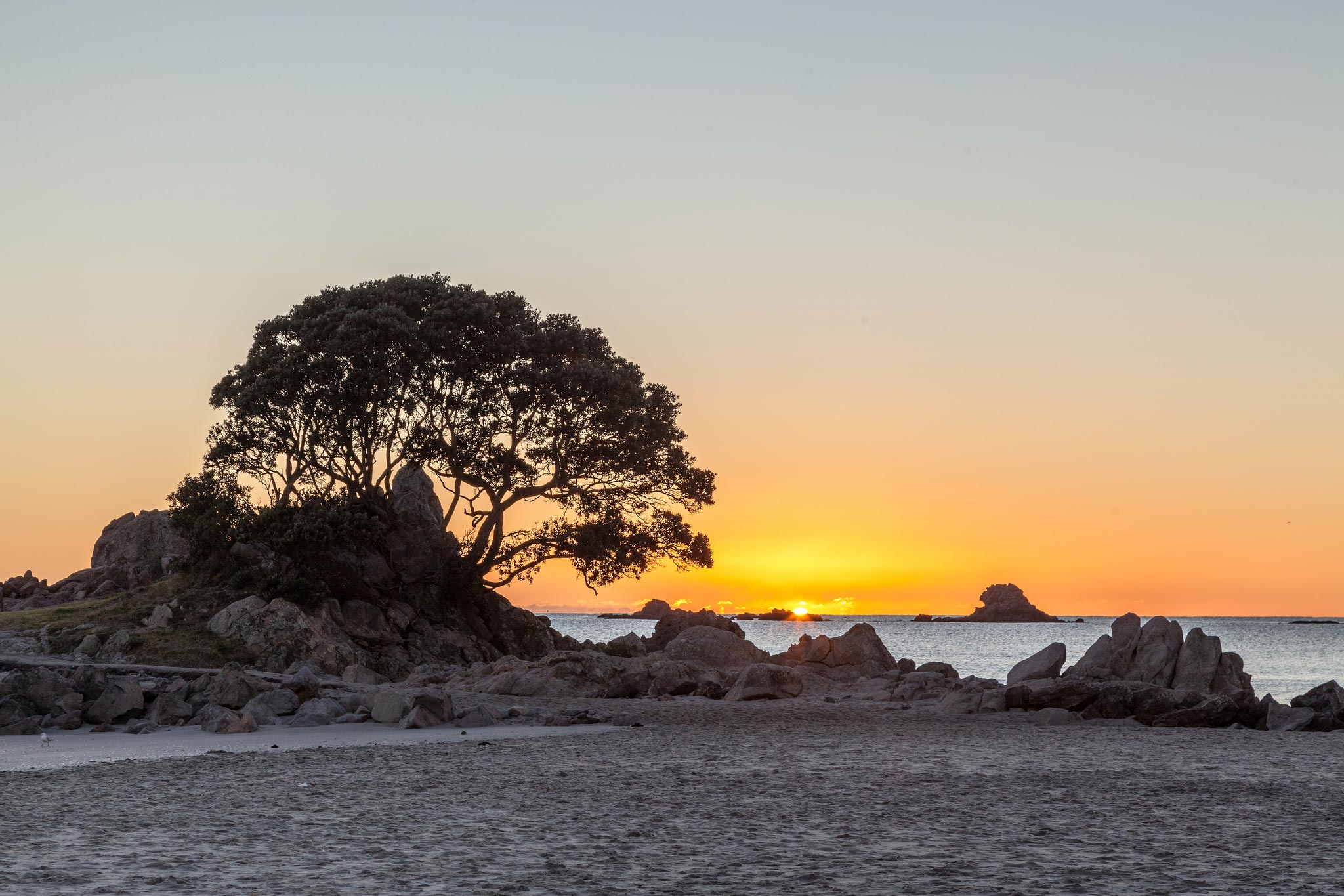 Kaupapa Māori Mate Hinengaro/Kai Tarutaru